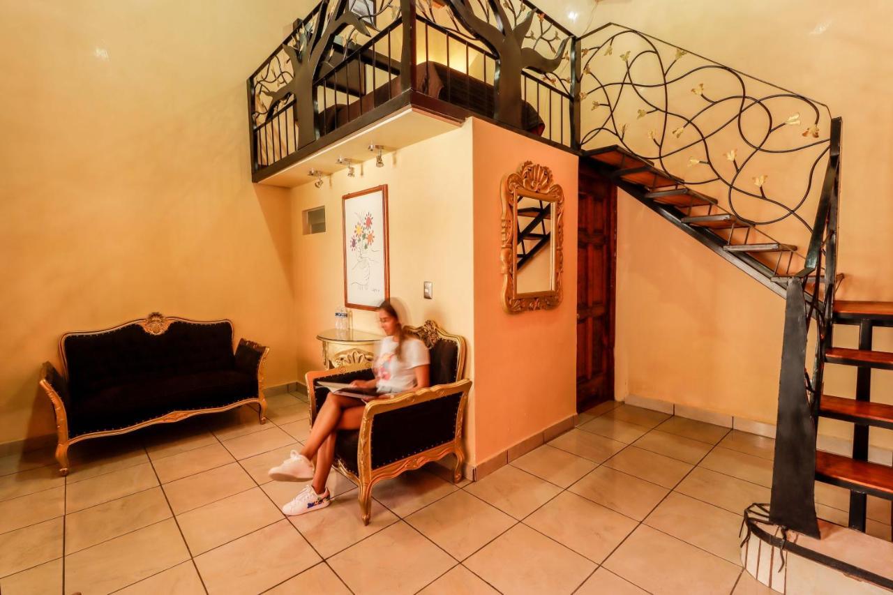 מורליה Hotel La Siesta Del Fauno מראה חיצוני תמונה